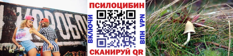 Купить закладки  Власиха  Галлюциногенные грибы прущие грибы 