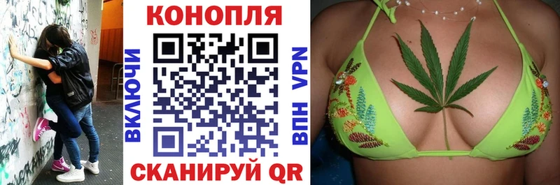 Конопля план  Купить закладки  Власиха 